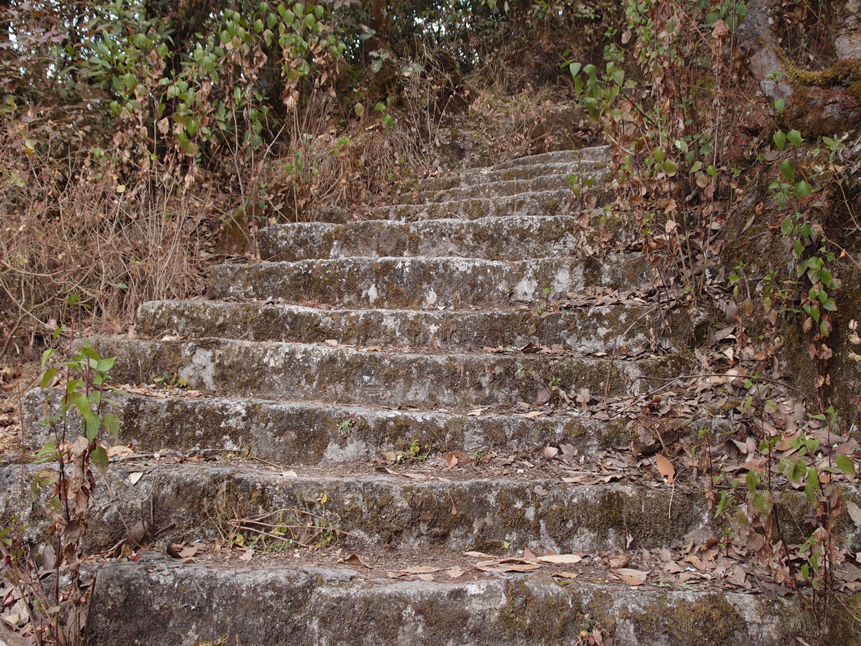 2018-01-16 12 Uhr - Im Shivapuri Nagarjun National Park (Nagi Gumba) (Foto) 